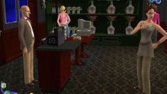 How to make a lot of money in Sims 2