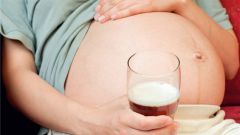 Can I drink beer during pregnancy