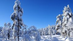 Оймякон - самое холодное место в мире