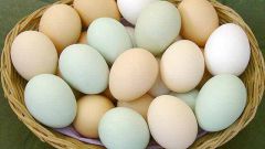 Какова калорийность яиц