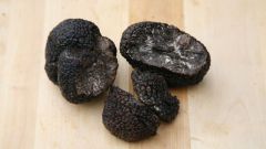 Знаменитые деликатесы: грибы трюфели