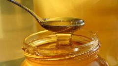 Как пчёлы делают мёд