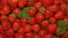 How to grow strawberries from seeds at home