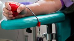 Польза от донорства крови