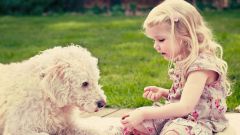 Польза дружбы детей и домашних животных
