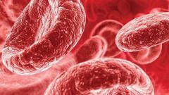 Low hemoglobin count: causes and consequences