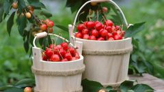 How useful cherries