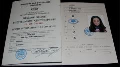 How to look like an international driving license