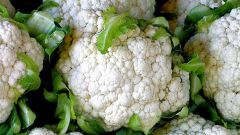 Why cauliflower is not fastened head?
