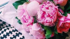 10 способов сохранить свежесть срезанных цветов