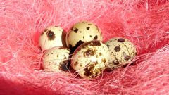 Benefit of quail eggs