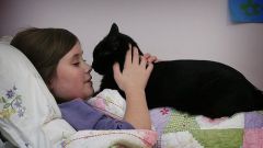 Как приучить ребенка ухаживать за домашними животными
