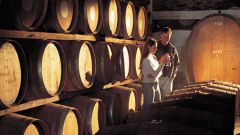 The studied wines: Chardonnay, Cabernet, Merlot, etc.
