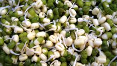 How to germinate seeds with hydrogen peroxide