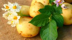 Как быстро похудеть с помощью диеты на картофеле