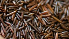 How to cook wild rice