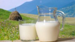 Kaoe useful milk: cow or goat