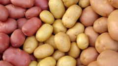Как на глаз определить сорт картофеля
