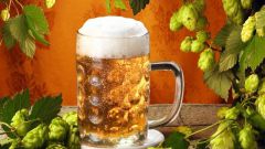 Как выбрать хорошее чешское пиво