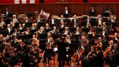 Какие музыкальные инструменты входят в состав симфонического оркестра
