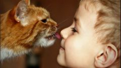 Как научить детей любить животных