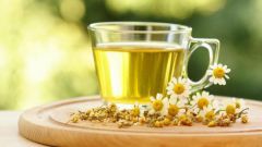 What sedative herbs it is possible to drink pregnant