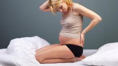 Почему болит спина на первых неделях беременности