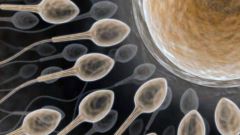 Сколько грамм спермы выделяется во время полового акта