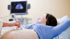 How to prepare for ultrasound in pregnancy
