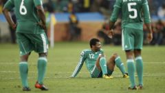 ЧМ 2014 по футболу: как проходил матч Иран - Нигерия