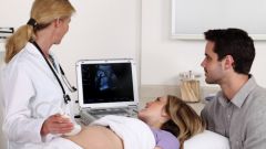 Насколько важны при беременности УЗИ