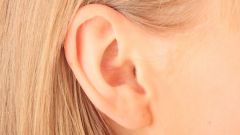 Какие функции выполняют отделы органа слуха человека