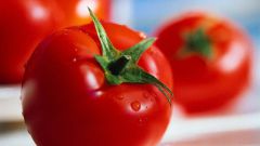 Какие семена томатов хорошие для Сибири