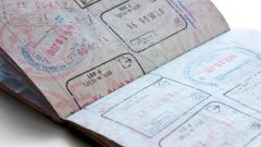 What documents are needed for travel to Estonia