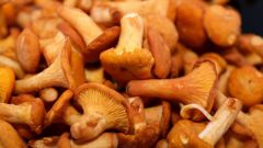 Почему грибы считаются тяжелой пищей