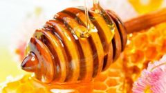 Как узнать, натуральный ли мед