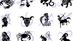 What Zodiac sign fits the female Capricorn