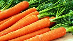 How best to digest carrots