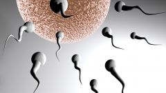 Как выглядит  здоровая сперма