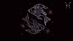 Гороскоп совместимости: какие знаки Зодиака подходят Рыбам