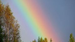 All about the rainbow as a physical phenomenon