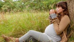 Какие травы можно пить при беременности