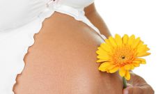 Когда и как болит грудь при беременности