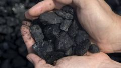 Какие растения образовали залежи каменного угля