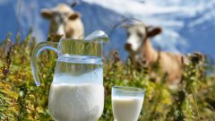 Какова жирность натурального коровьего молока