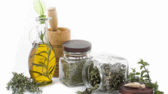 The most useful herbs