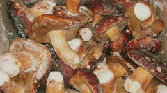 How to freeze mushrooms for the winter