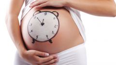 Как рассчитать срок своей беременности
