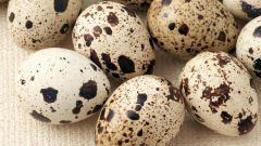 Какова норма потребления перепелиных яиц