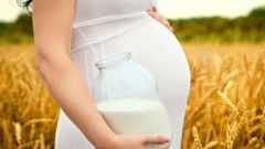 What is better to drink milk during pregnancy